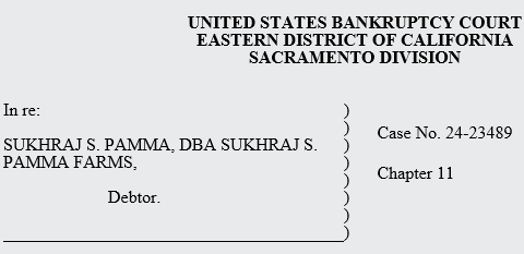Case Caption