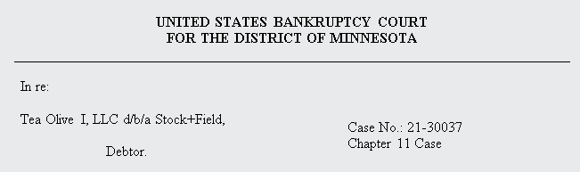 Case Caption