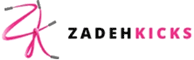 Zadeh Kicks LLC dba Zadeh Kicks (Receivership)